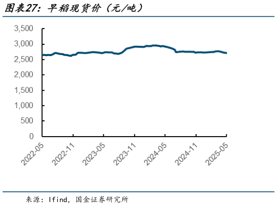 咨询大家早稻现货价(元吨)?