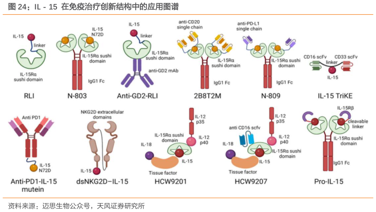 各位网友请教一下IL - 15 在免疫治疗创新结构中的应用图谱?