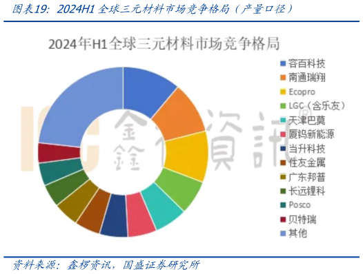 咨询下各位2024H1全球三元材料市场竞争格局（产量口径）?