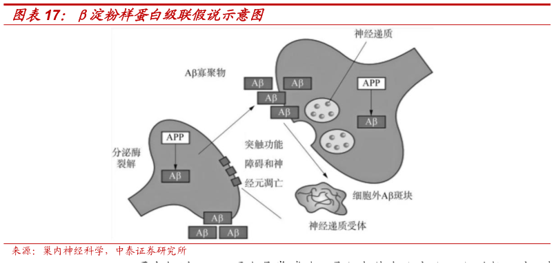 一起讨论下淀粉样蛋白级联假说示意图