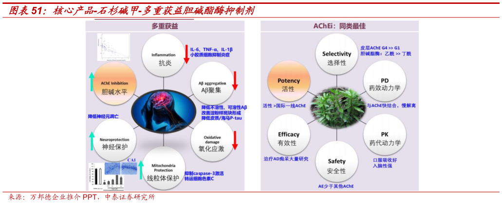 谁能回答核心产品-石杉碱甲-多重获益胆碱酯酶抑制剂
