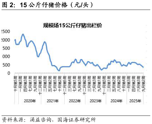 如何看待15 公斤仔猪价格（元头）