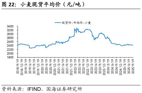 咨询大家小麦现货平均价（元吨）