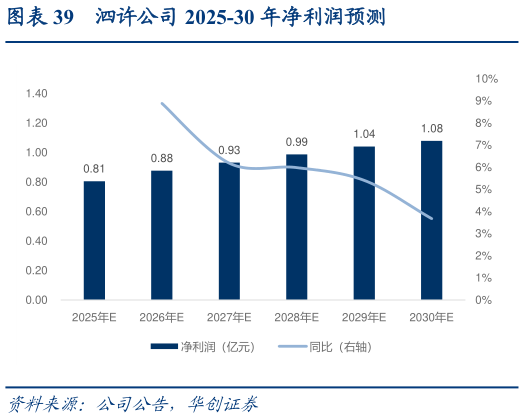 如何解释泗许公司 2025-30 年净利润预测
