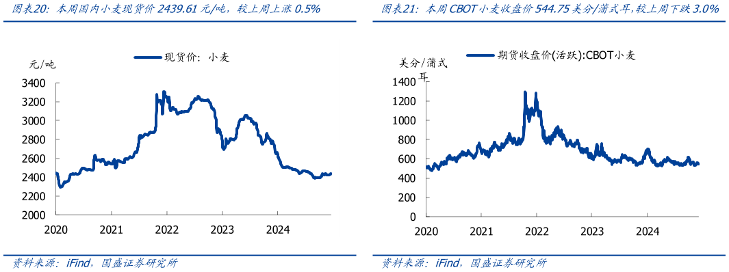 咨询大家本周国内小麦现货价2439.61元吨，较上周上涨0.5%