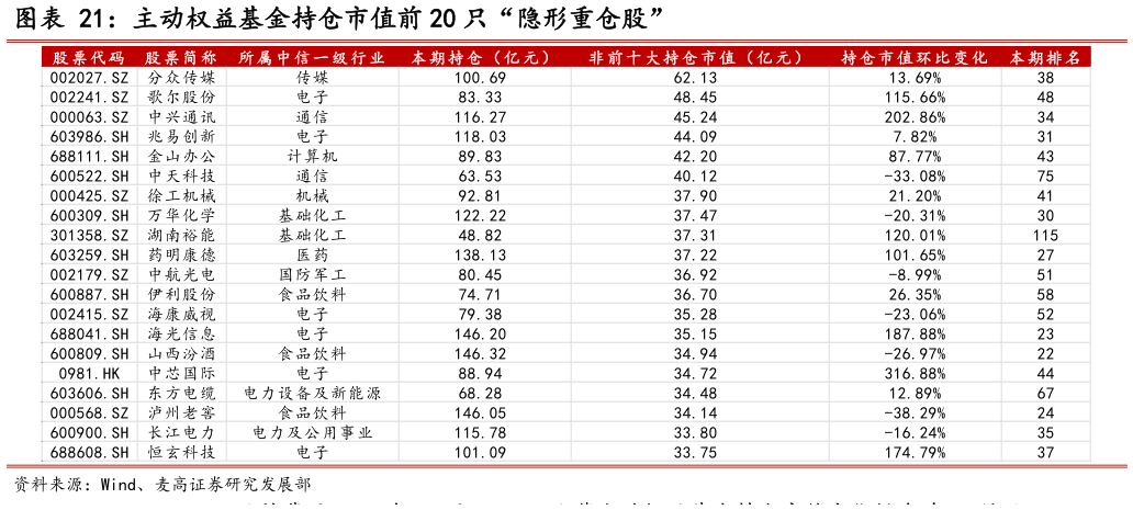 谁能回答主动权益基金持仓市值前 20 只“隐形重仓股”