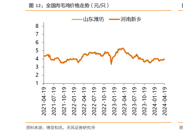 如何看待全国肉毛鸡价格走势(元只)?
