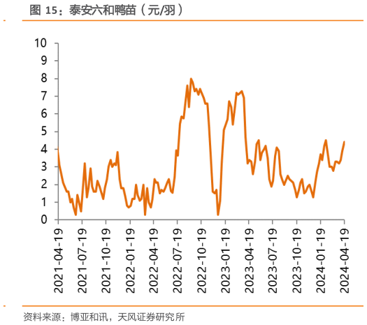 怎样理解泰安六和鸭苗(元羽)?