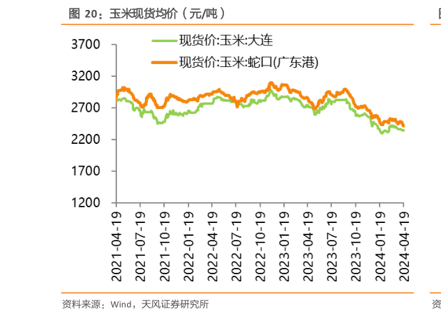 如何看待玉米现货均价(元吨)?