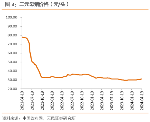 如何了解二元母猪价格(元头)?