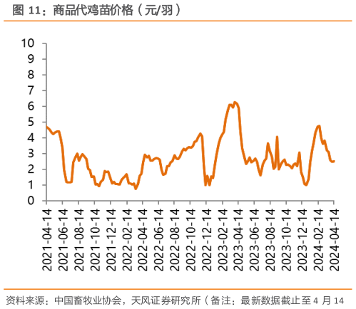 我想了解一下商品代鸡苗价格(元羽)?