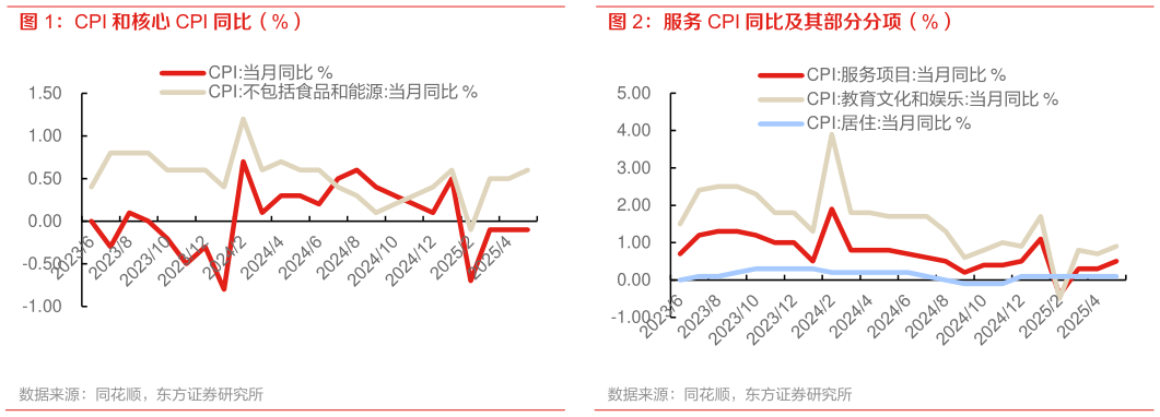 如何了解CPI 和核心 CPI 同比（%） 服务 CPI 同比及其部分分项（%）?