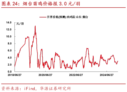 如何才能烟台苗鸡价格报 3.0 元羽?