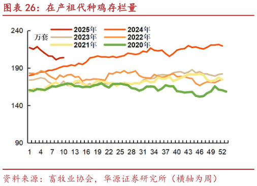 如何了解在产祖代种鸡存栏量?