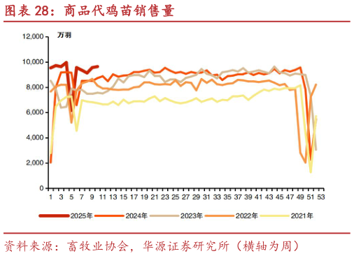 请问一下商品代鸡苗销售量?