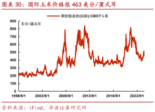 咨询大家国际玉米价格报 463 美分蒲式耳?