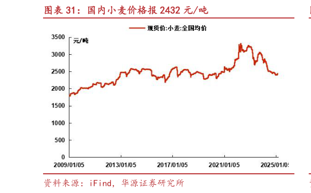 如何了解国内小麦价格报 2432 元吨?