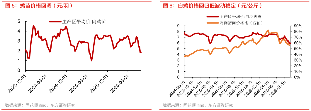 谁知道鸡苗价格回调（元羽）