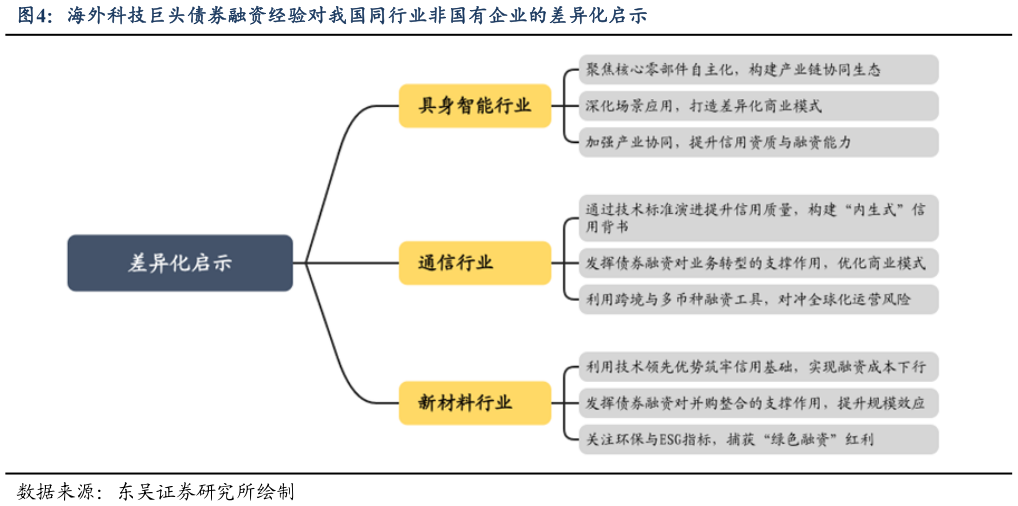 如何了解海外科技巨头债券融资经验对我国同行业非国有企业的差异化启示?