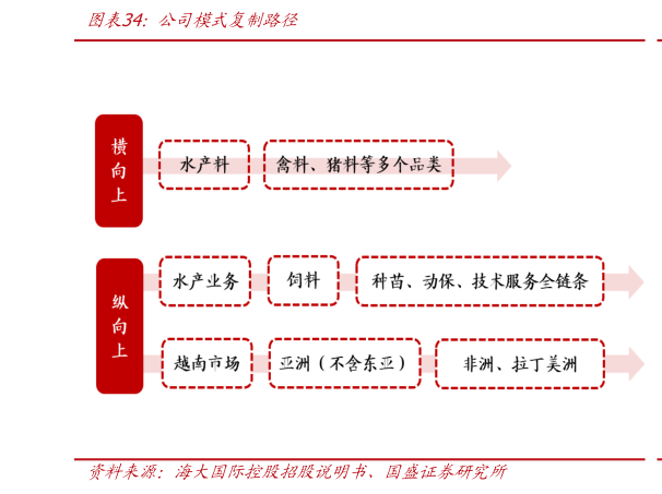 如何解释公司模式复制路径