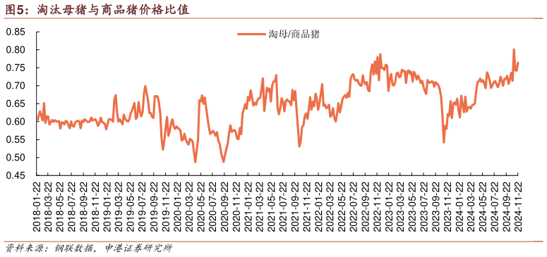 如何看待淘汰母猪与商品猪价格比值?