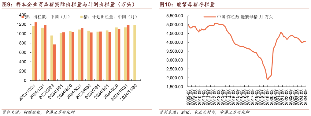 想关注一下样本企业商品猪实际出栏量与计划出栏量（万头） 能繁母猪存栏量?