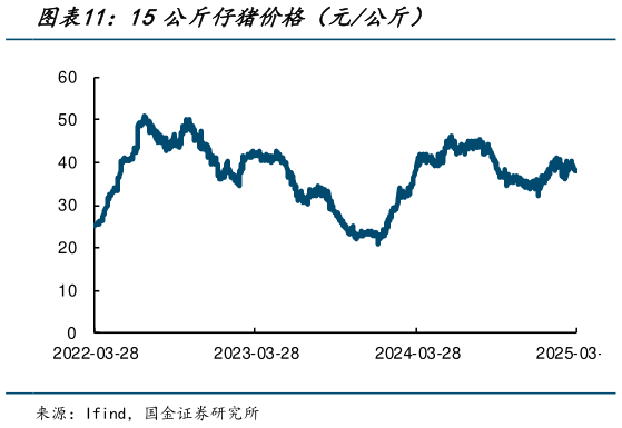 如何了解15公斤仔猪价格（元公斤）?