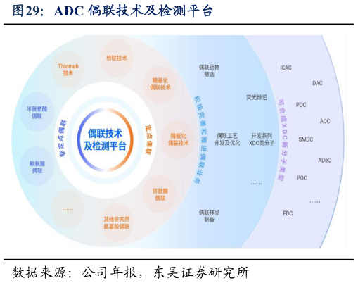 请问一下ADC 偶联技术及检测平台