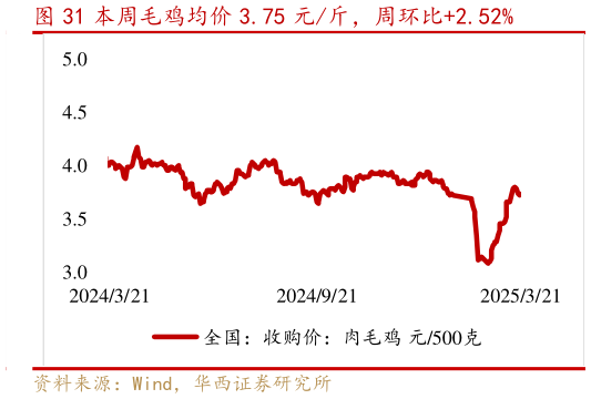各位网友请教一下本周毛鸡均价 3.75 元斤，周环比2.52%?