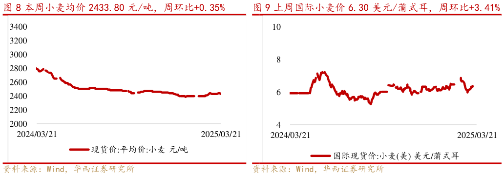 想关注一下本周小麦均价 2433.80 元吨，周环比0.35%上周国际小麦价 6.30 美元蒲式耳，周环比3.41%?