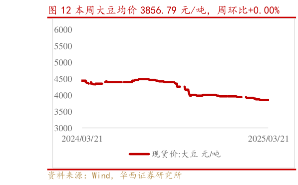 谁知道本周大豆均价 3856.79 元吨，周环比0.00%?