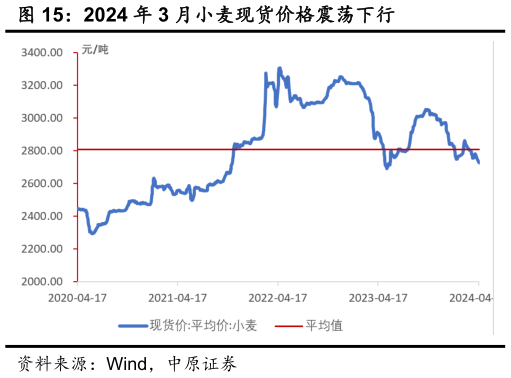一起讨论下2024 年 3 月小麦现货价格震荡下行?