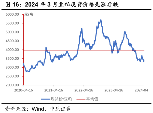 怎样理解2024 年 3 月豆粕现货价格先涨后跌?