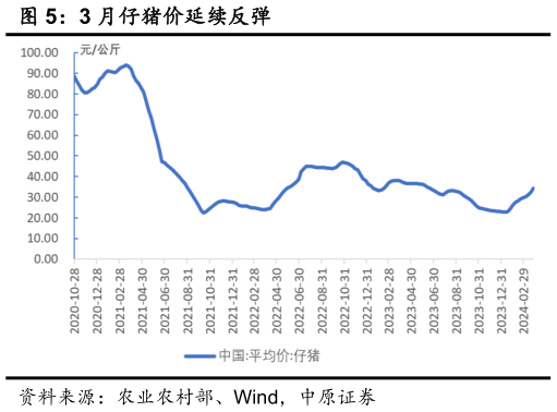 谁知道3 月仔猪价延续反弹?
