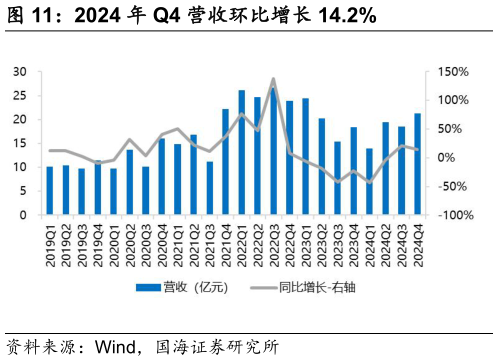 如何解释2024 年 Q4 营收环比增长 14.2%?