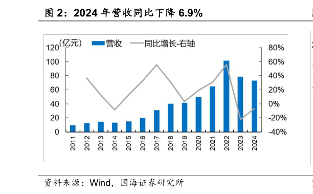 怎样理解2024 年营收同比下降 6.9%?