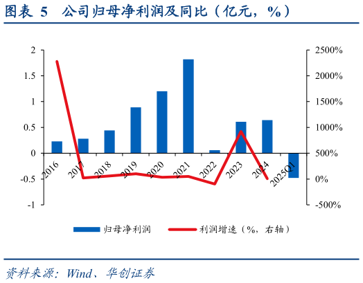 各位网友请教一下公司归母净利润及同比（亿元，%）