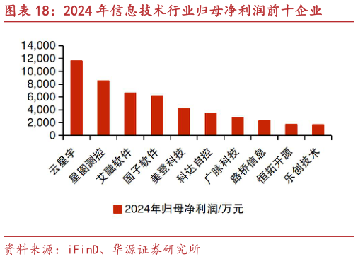 如何才能2024 年信息技术行业归母净利润前十企业