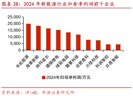 请问一下2024 年新能源行业归母净利润前十企业