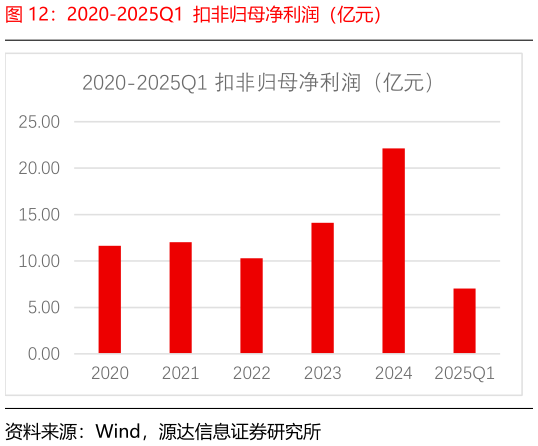 各位网友请教一下2020-2025Q1 扣非归母净利润(亿元)?