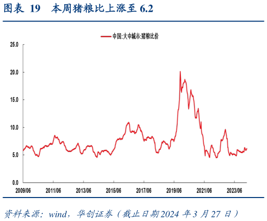 我想了解一下本周猪粮比上涨至 6.2?