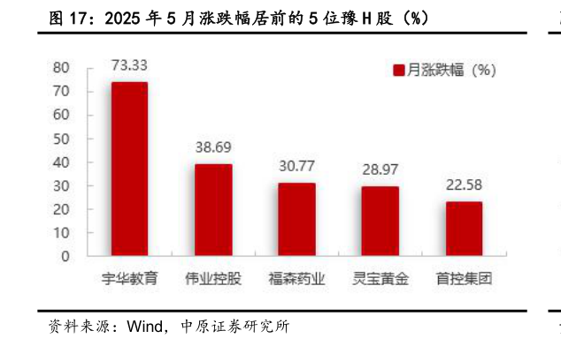 怎样理解2025 年 5 月涨跌幅居前的 5 位豫 H 股(%)?