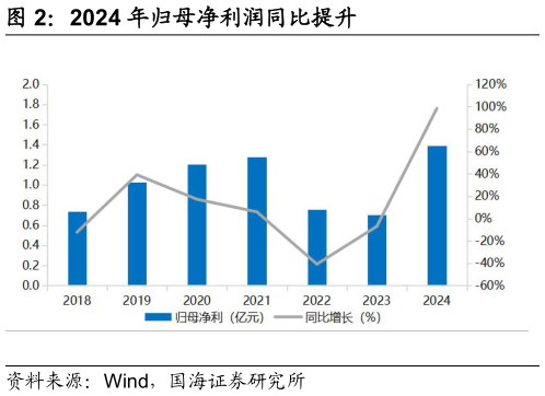 如何了解2024 年归母净利润同比提升