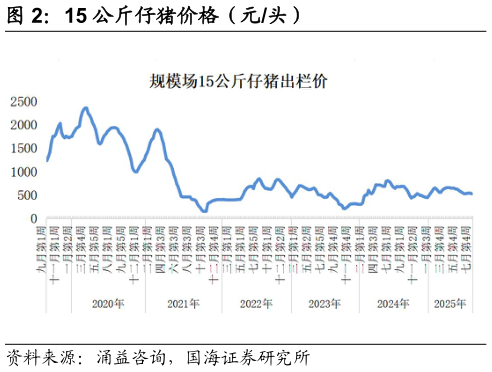 如何了解15 公斤仔猪价格（元头）