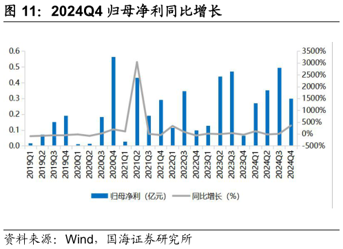 谁能回答2024Q4 归母净利同比增长?