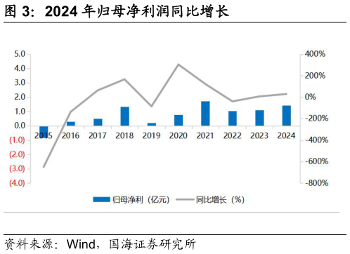 如何看待2024 年归母净利润同比增长?