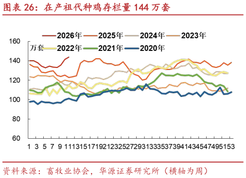 怎样理解在产祖代种鸡存栏量 144 万套?
