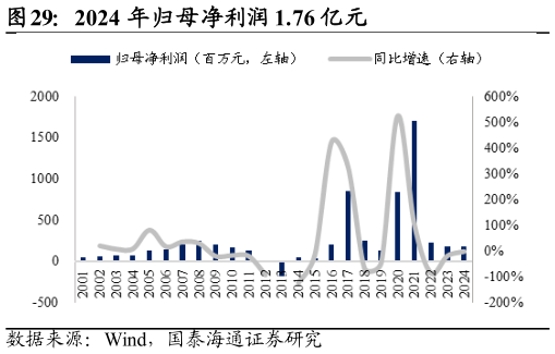 如何了解2024 年归母净利润 1.76 亿元
