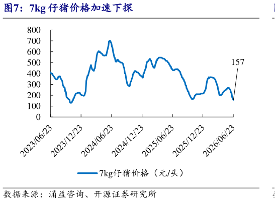 谁能回答7kg 仔猪价格加速下探
