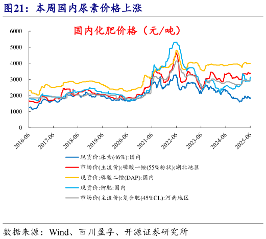 如何了解本周国内尿素价格上涨?
